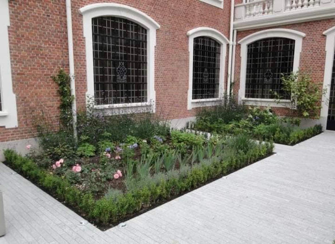 Binnenplaats tuin